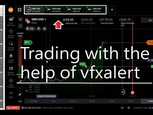 Trading with the help of vfxalert | King trader signal